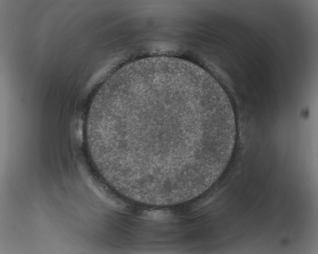 X0000115540067200912181539