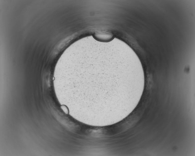 X0000115540068200912181539