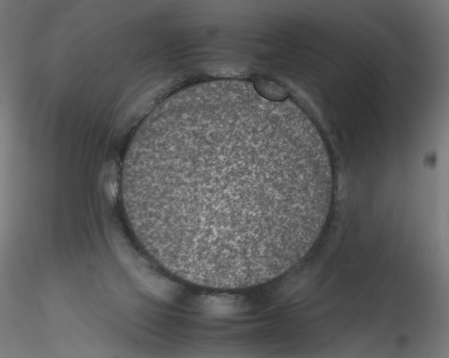 X0000115540069200912181539