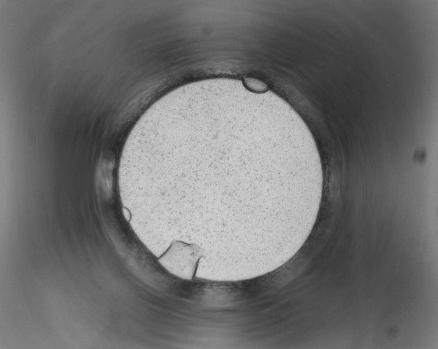 X0000115540070200912181539