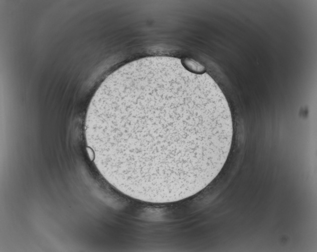 X0000115540071200912181539