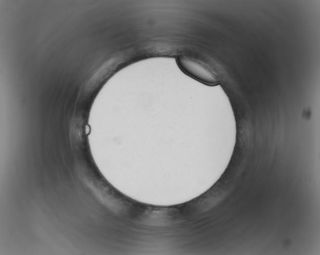 X0000115540072200912181539