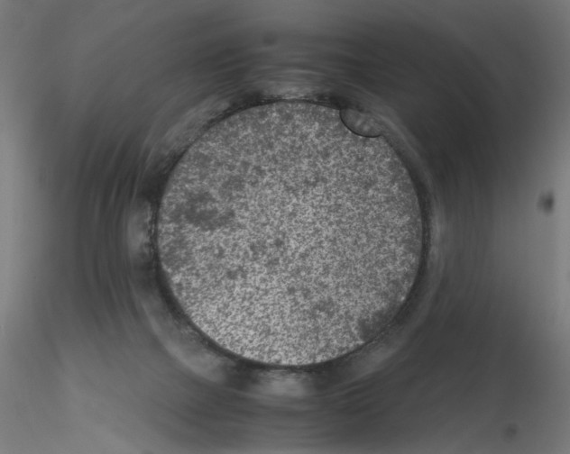 X0000115540073200912181539