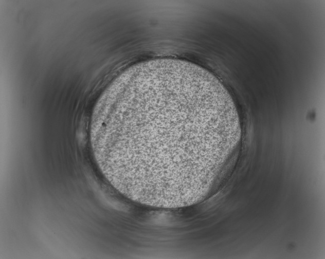 X0000115540074200912181539