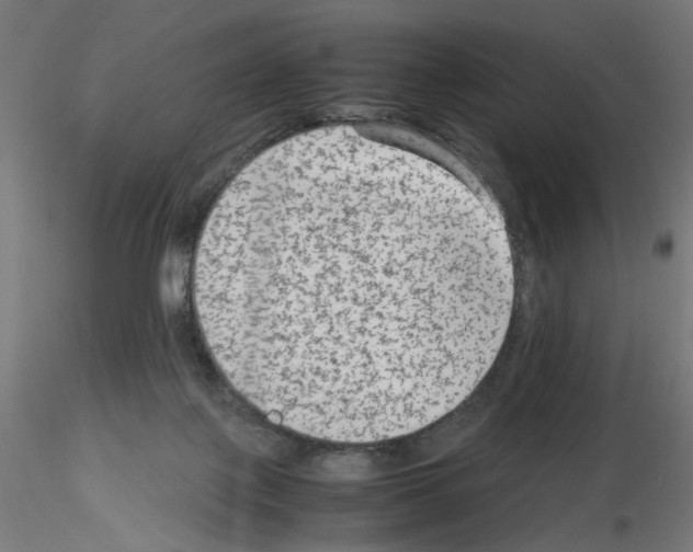 X0000115540075200912181539