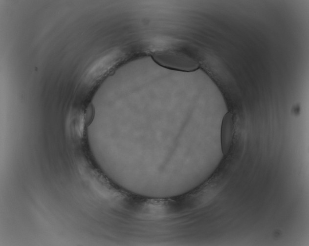 X0000115540076200912181539