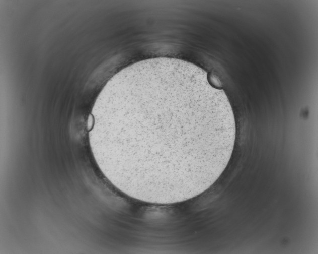 X0000115540077200912181539