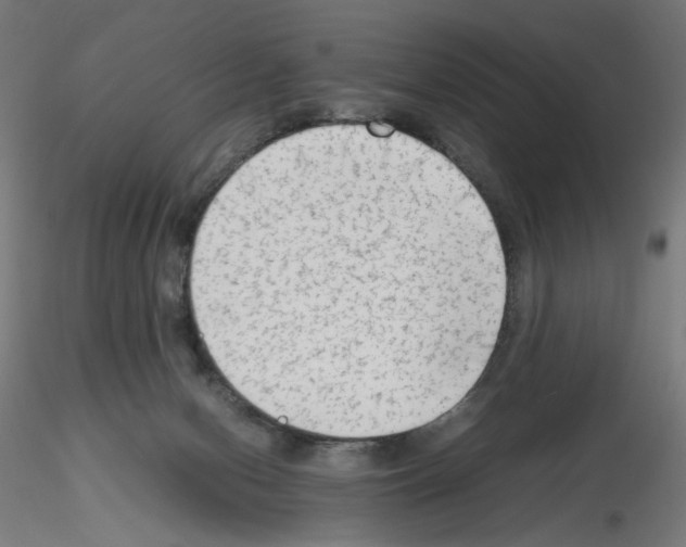 X0000115540078200912181539