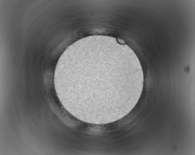 X0000115540079200912181539