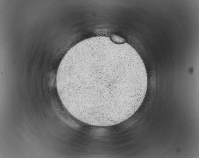 X0000115540081200912181539