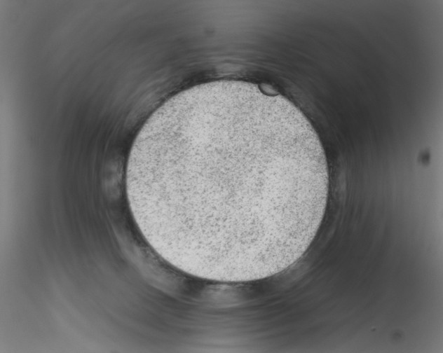 X0000115540082200912181539