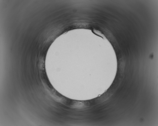 X0000115540083200912181539