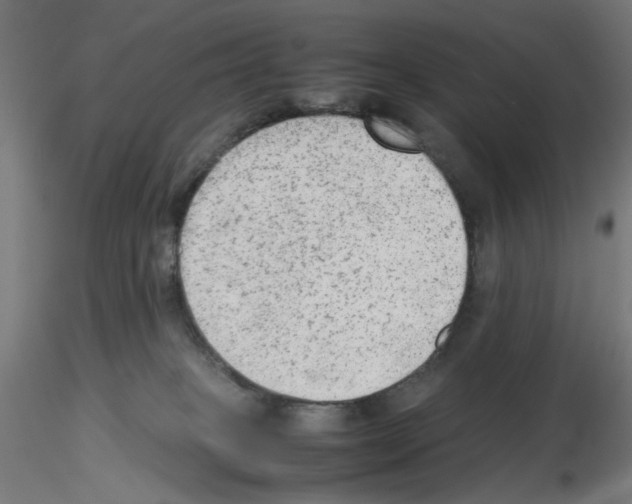 X0000115540085200912181539