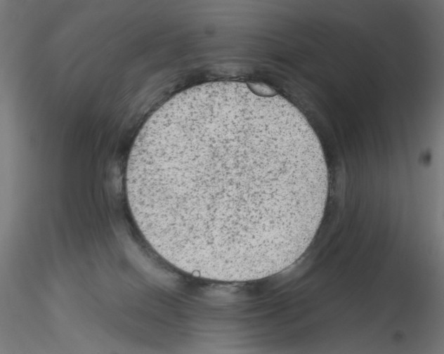 X0000115540086200912181539