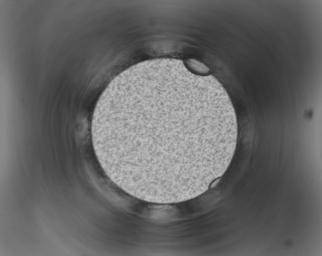 X0000115540087200912181539