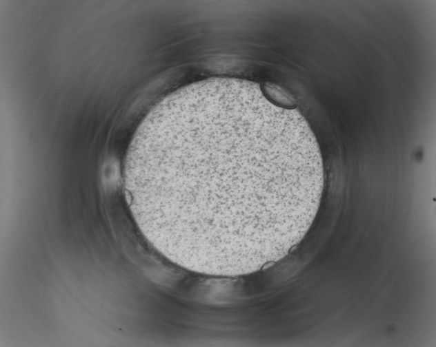 X0000115540089200912181539