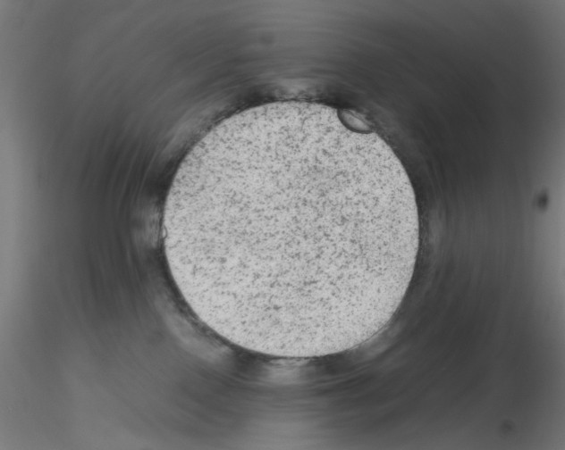 X0000115540090200912181539
