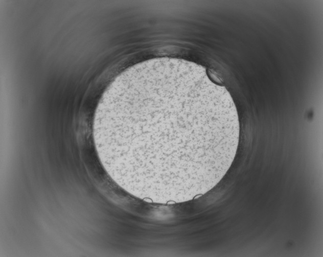 X0000115540091200912181539