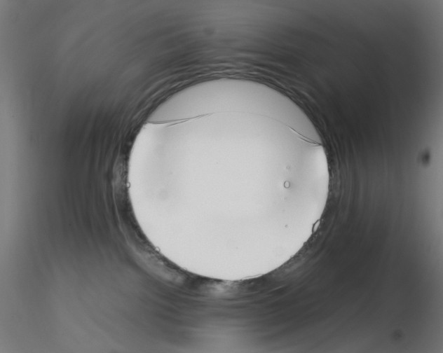 X0000115540092200912181539