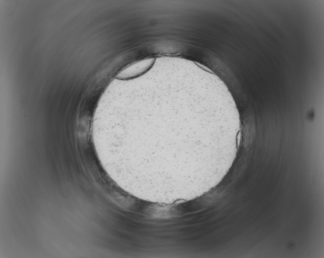 X0000115540093200912181539