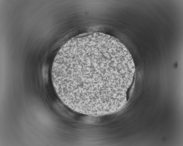 X0000115540094200912181539