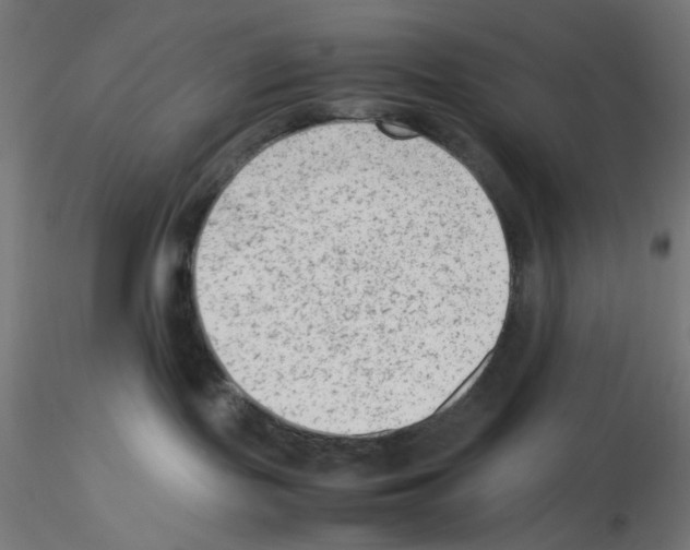 X0000115540095200912181539