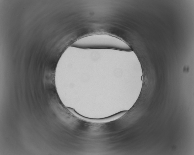 X0000115540096200912181539