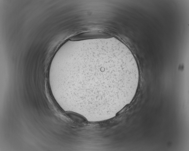 X0000115540097200912181539