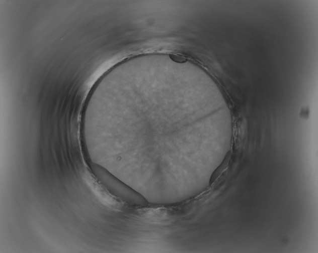 X0000115540100200912181539