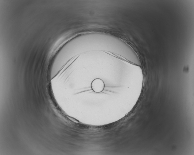 X0000115540101200912181539