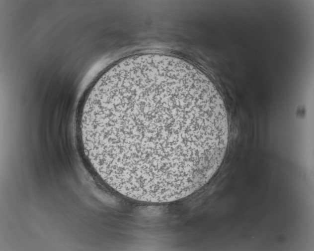 X0000115540102200912181538