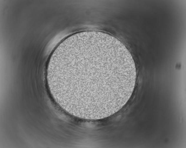 X0000115540103200912181538