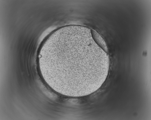 X0000115540104200912181538