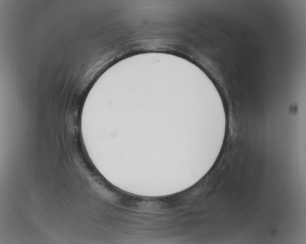 X0000115540105200912181538