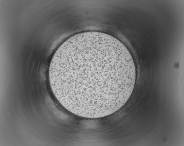 X0000115540106200912181538