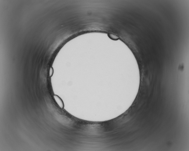 X0000115540108200912181538