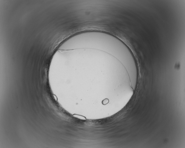 X0000115540109200912181538
