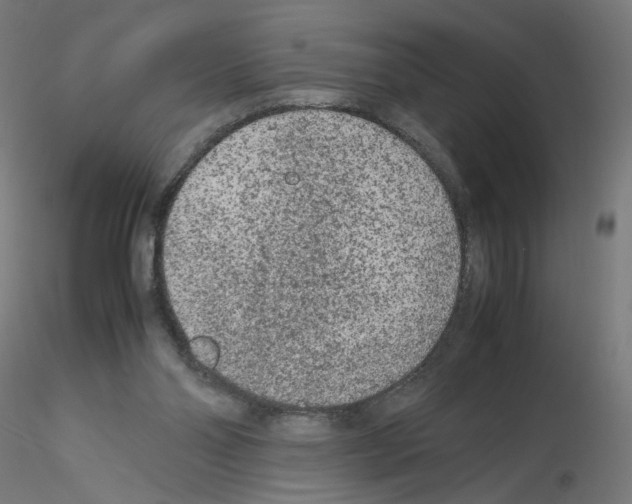 X0000115540110200912181538