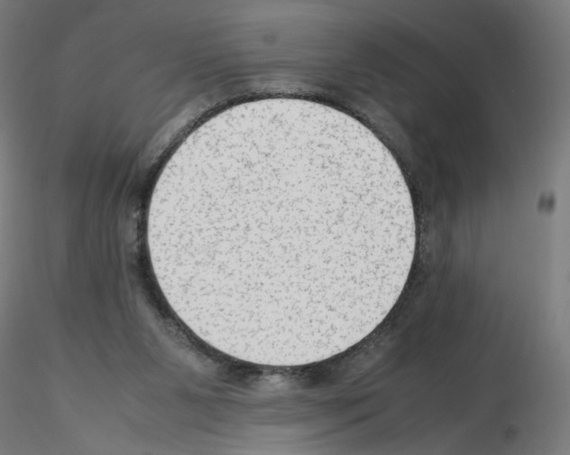X0000115540111200912181538