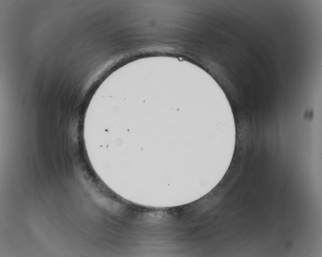 X0000115540112200912181538