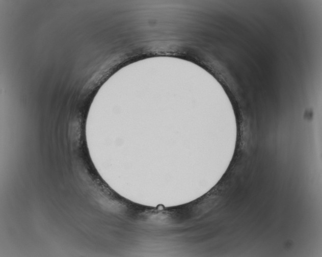 X0000115540113200912181538