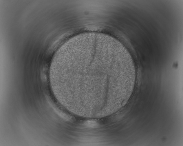 X0000115540114200912181538