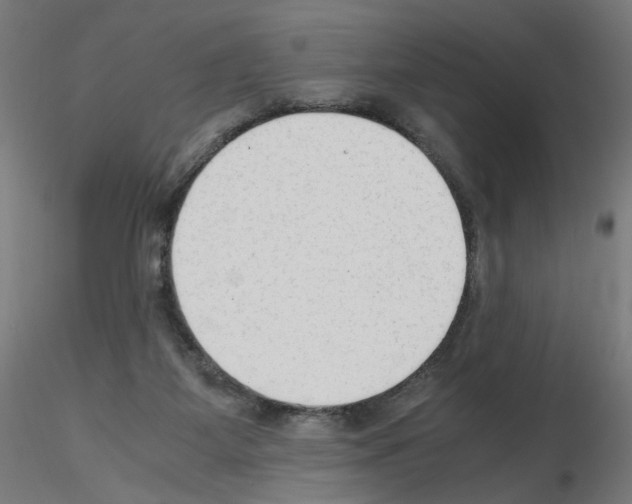 X0000115540115200912181538