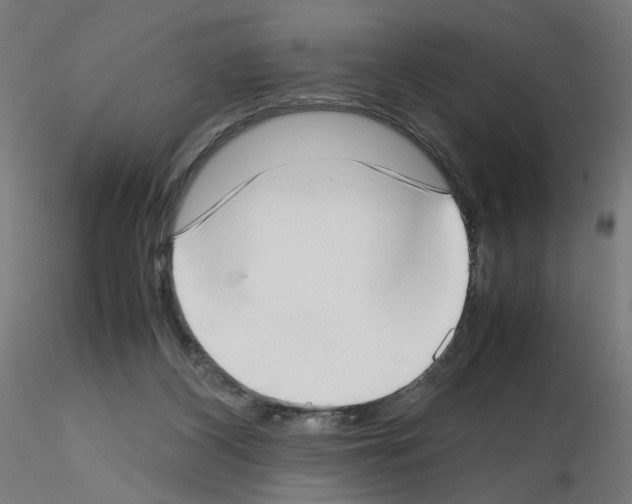 X0000115540116200912181538