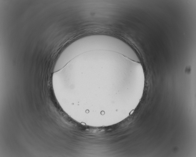 X0000115540117200912181538