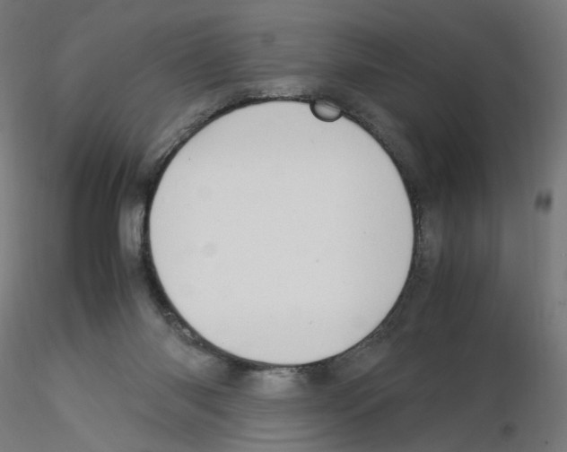 X0000115540118200912181538