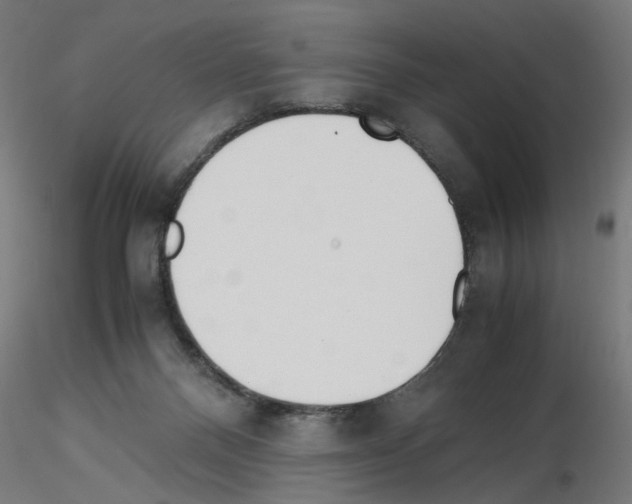 X0000115540120200912181538