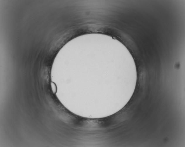 X0000115540121200912181538