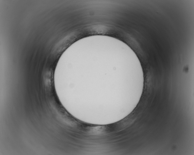 X0000115540122200912181538