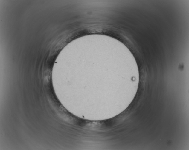 X0000115540125200912181538